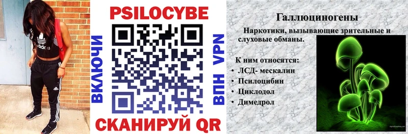 blacksprut маркетплейс  Пенза  Галлюциногенные грибы Psilocybine cubensis  дарнет шоп 