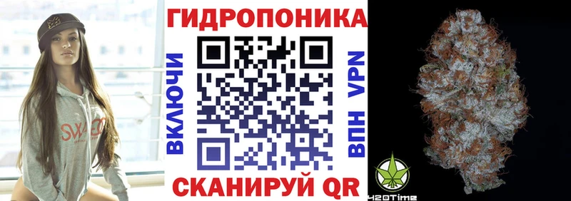 Конопля OG Kush  закладка  Пенза 